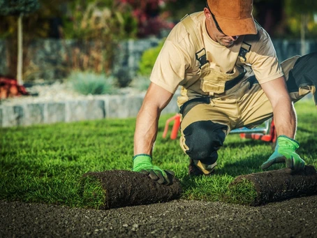 Landscaper placing grass and sod down on lawn