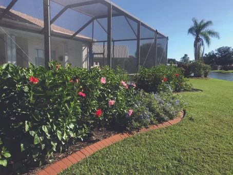 Lawn with bushes, flowers and trellis
