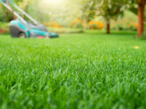 Lawnmower mowing manicured grass