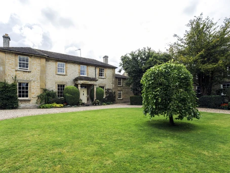 Manicured Lawn with Tree and House