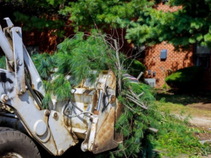 Machine removing tree