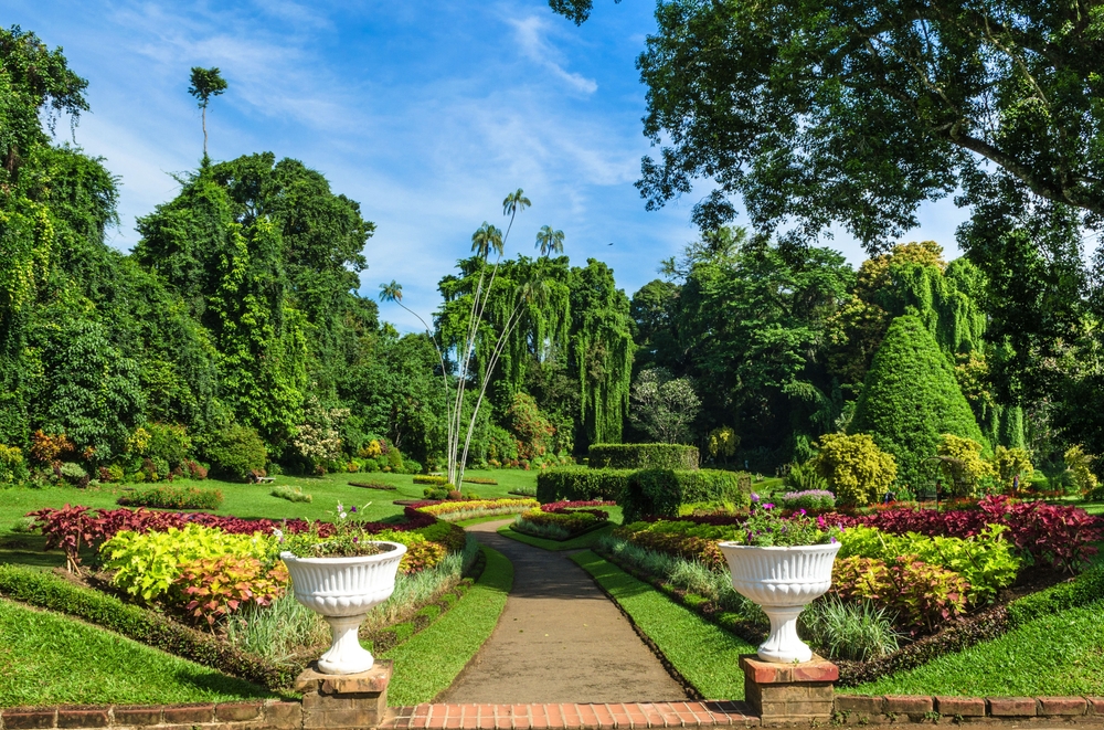 landscape renovation venice florida