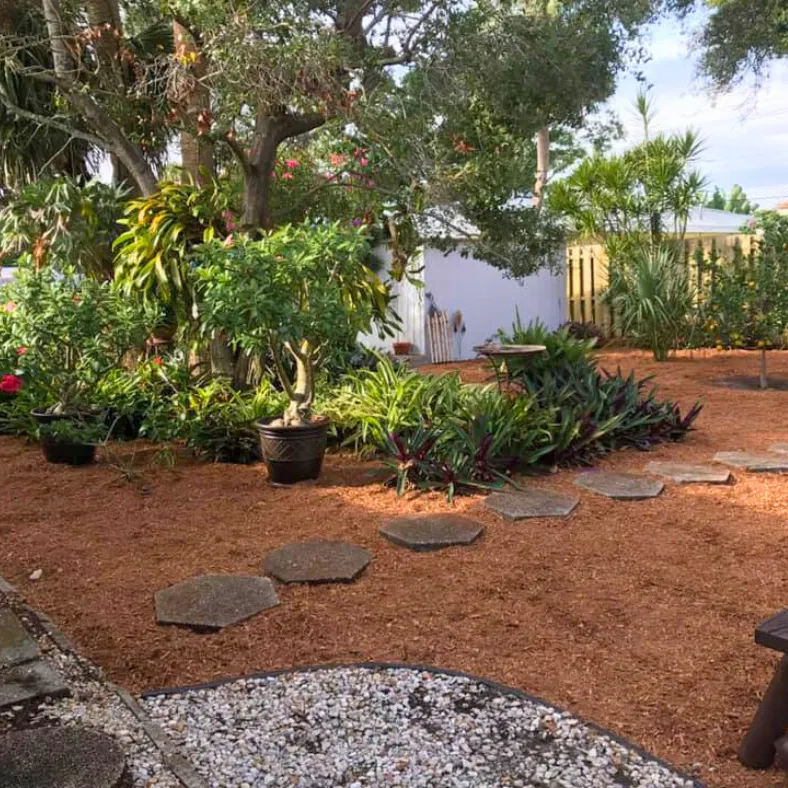 Sustainable landscape design in Venice, FL featuring Florida Friendly native plants and lush greenery.
