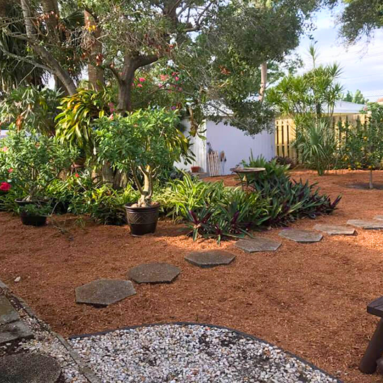 Residential backyard after professional landscape maintenance service and new mulch application in Venice Florida